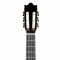 قیمت خرید فروش گیتار کلاسیک  Ibanez G850 NT